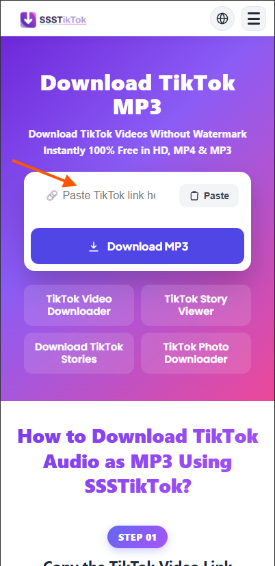 Paste into MP3 Downloader
